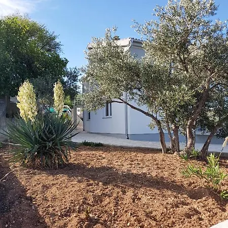 House In Near The Festival Site